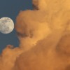 Vollmond und Wolken Gainesville, Fla. USA (AP Photo/The Gainesville Sun, Matt Stamey)