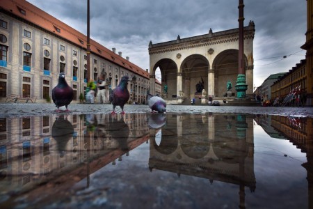 Tauben auf dem Odeonsplatz in München, Deutschland (Keystone/EPA/Peter Kneffel)