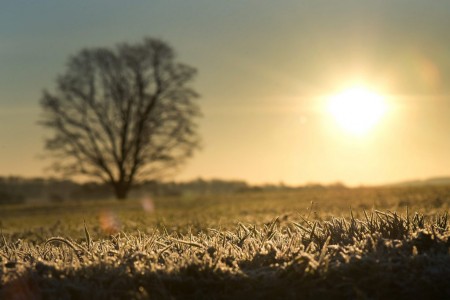 Winterlandschaft in Dresden, Deutschland (Keystone/AP Photo/Arno Burg)