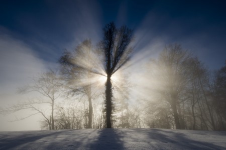 Wintersonne in Udligenswil, Schweiz (Keystone/Sigi Tischler)
