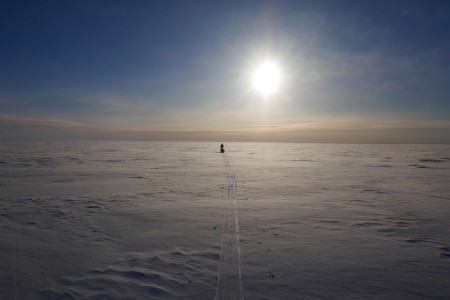 In Gedenken an Robert Falcon Scott - Expedition zum Südpol (Keystone/AP Images)