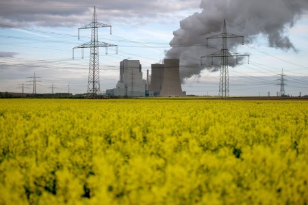 Rapeseed field in front of lignite power plant