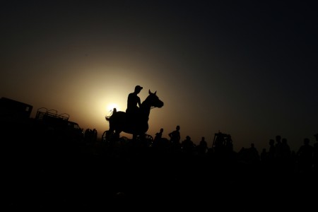 Pferderennen in Jenin, West Bank (Keystone/AP Photo/Mohammed Ballas)