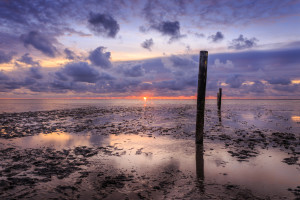 Wattenmeer - (c) Bernard Ksiazek