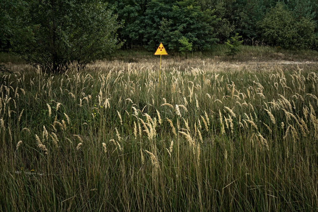 Radioaktiv verseuchtes Feld beim ehemaligen Reaktorgelände von Tschernobyl © Niels Ackermann / Swiss Press Photo