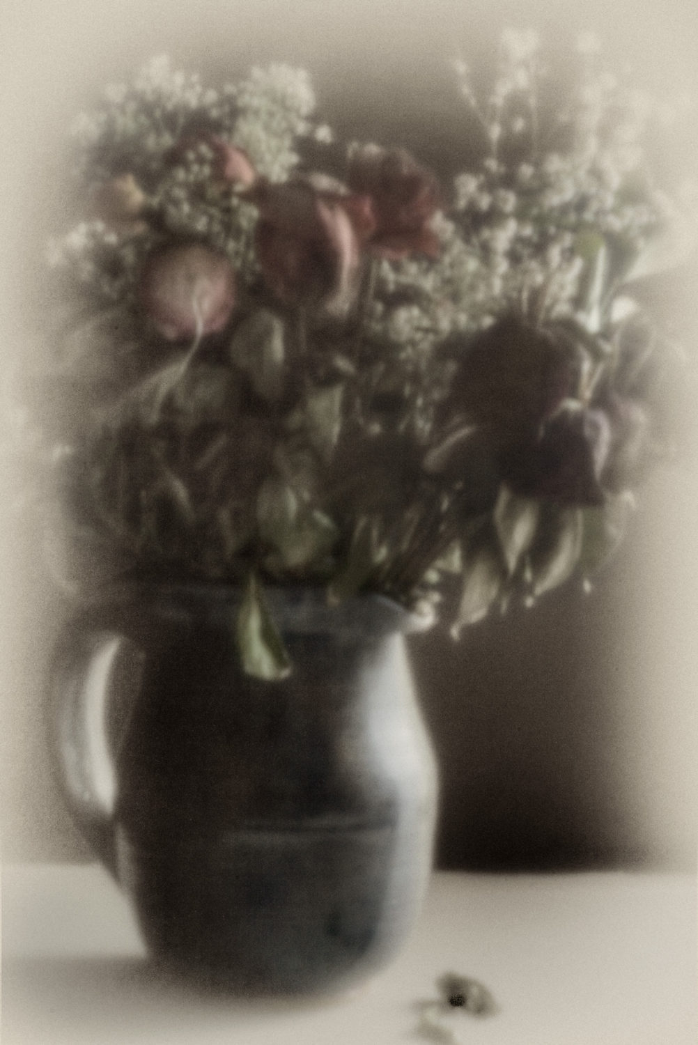 roses2 Rosen - Digitale Lochkamera - (c) Sofie Dittmann