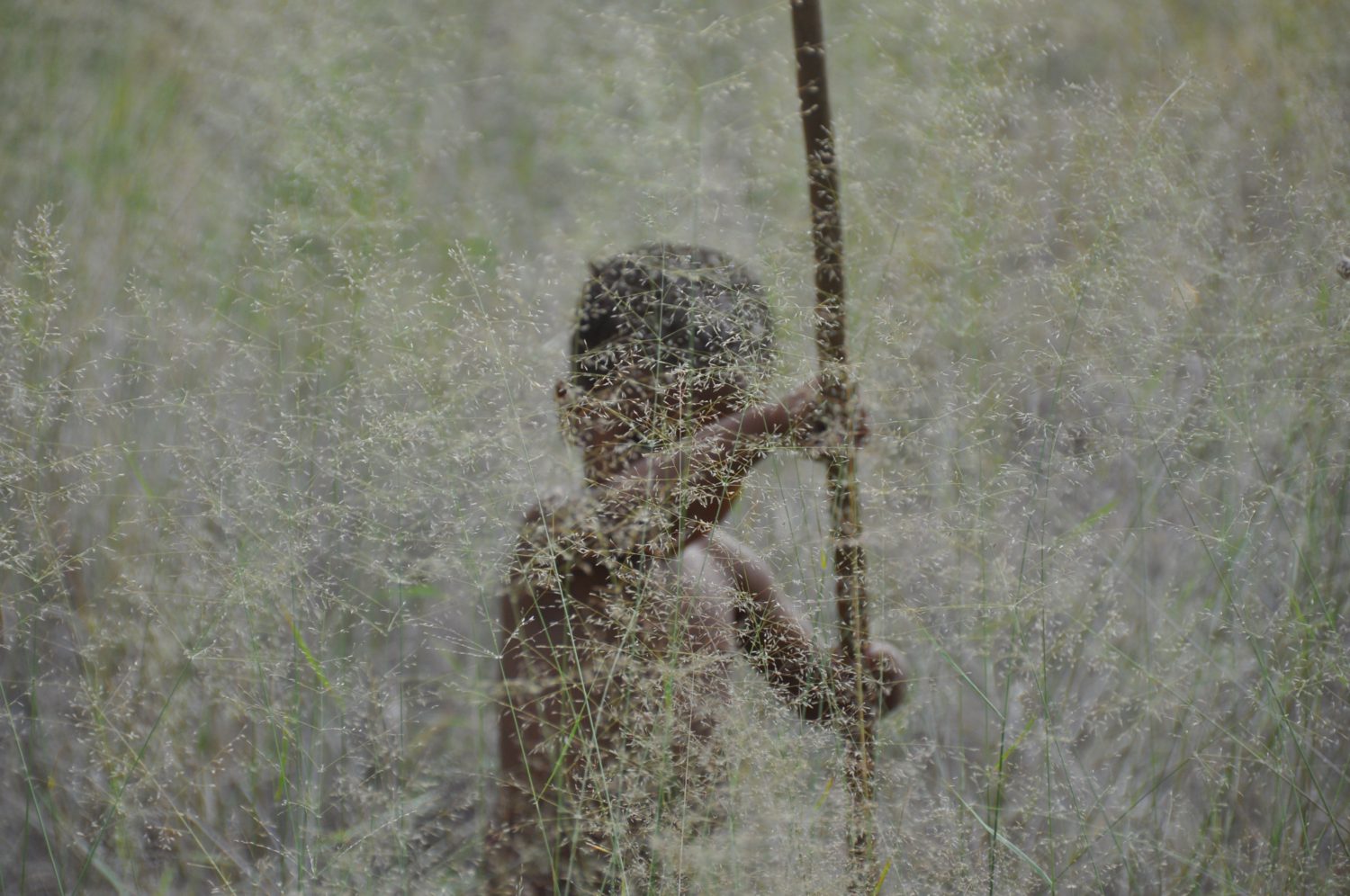 201608-DST-Kind-im-Gras-Botsuana "Lost in Grass" – Kind im Gras in Botswana. Nikon D90 1/250s bei F/5.6 mit 200mm Brennweite und ISO 400 © Dirk Steffens