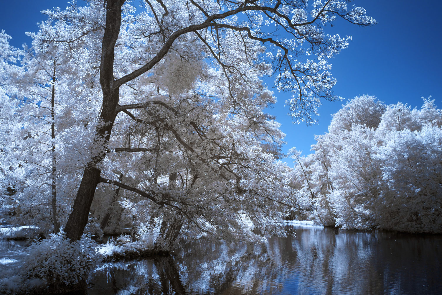 20160824_schlosspark_ir_078-als-smartobjekt-1 Klassische Farbgebung in der Infrarot-Fotografie