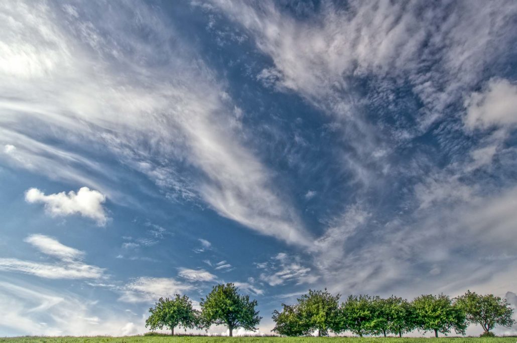 Leicht begradigt und etwas aufgehellte Bäume: Das Ergebnis