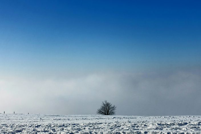 schneelandschaft Fotografie einer Schneelandschaft