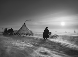 North of the Ob River, about 100 kilometers inside the Yamal peninsula, fierce winds keep even daytime temperatures low. When the weather is particularly hostile, the Nenets and their reindeer may spend several days in the same place, doing repair work on sledges and reindeer skins to keep busy. The deeper they move into the Arctic Circle, the less vegetation is to be found. Inside the Arctic Circle. Yamal peninsula, Siberia. 2011.