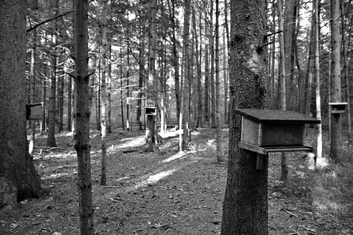 Vogelhaeuser