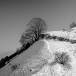 schaerfentiefe_bild4
