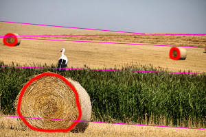 Vergleichsfoto/Komposition