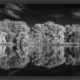 Sony NEX-7 infrarot mit Leica 35mm Summilux, stitch aus 4 Bildern Hochformat